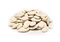 COURGETTE ZADEN 24*200 Gr بزر كوسا زالين