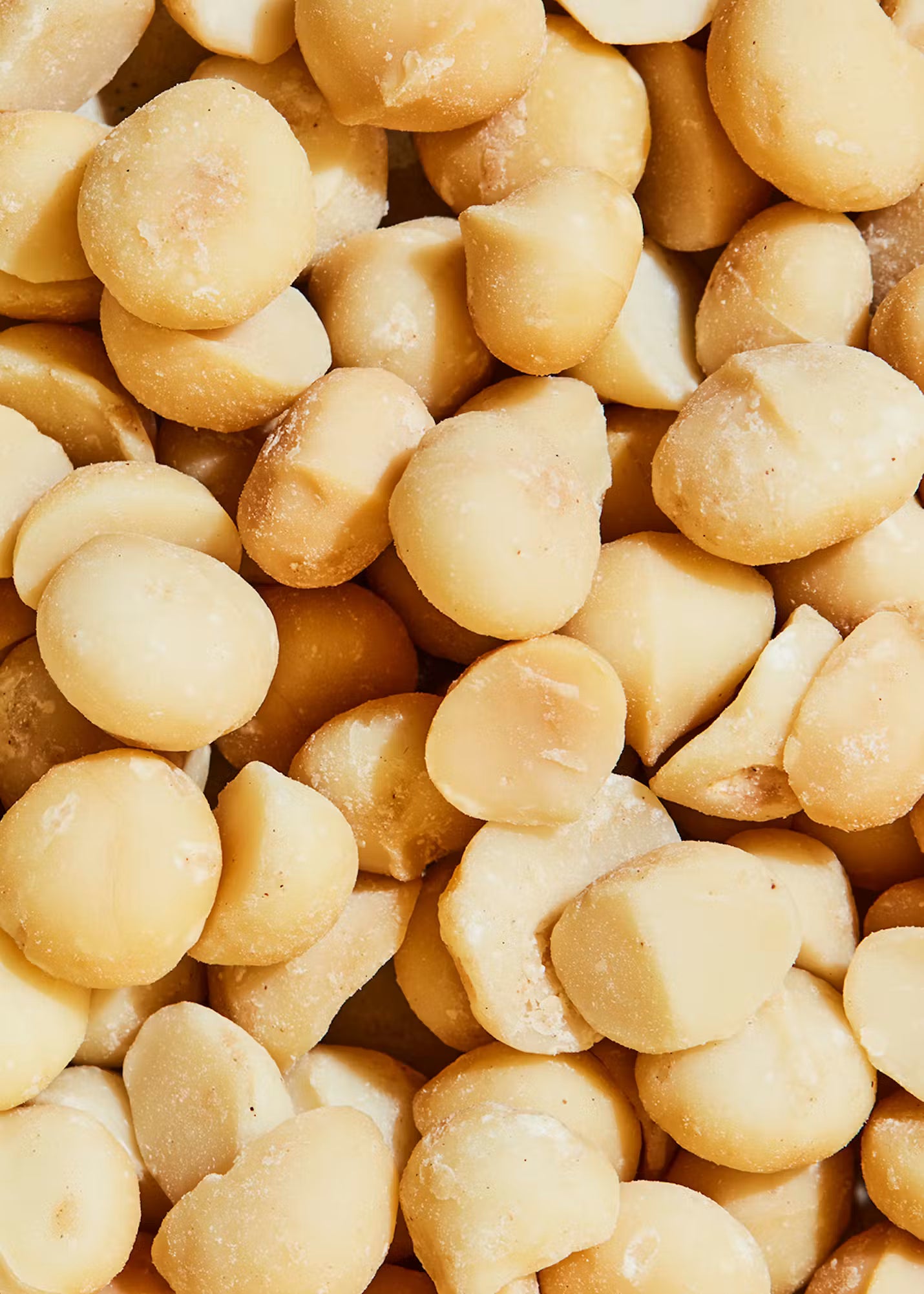 Gezouten Macadamia 5Kg مكاداميا مملحة